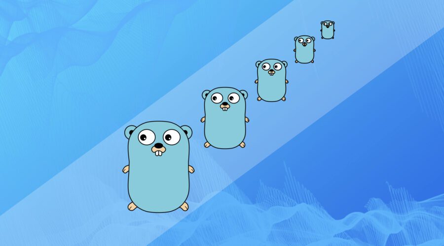 middleware in go